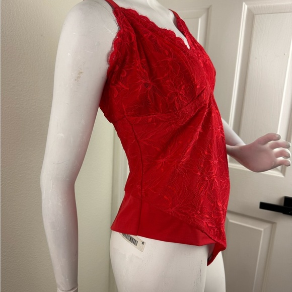 YITTY Red Lace Chemise with Scalloped V-Neck - Picture 9 of 12